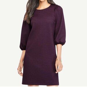 Ann Taylor Shift Dress Purple Bubble Long Sleeve Lightweight Womens Size Large